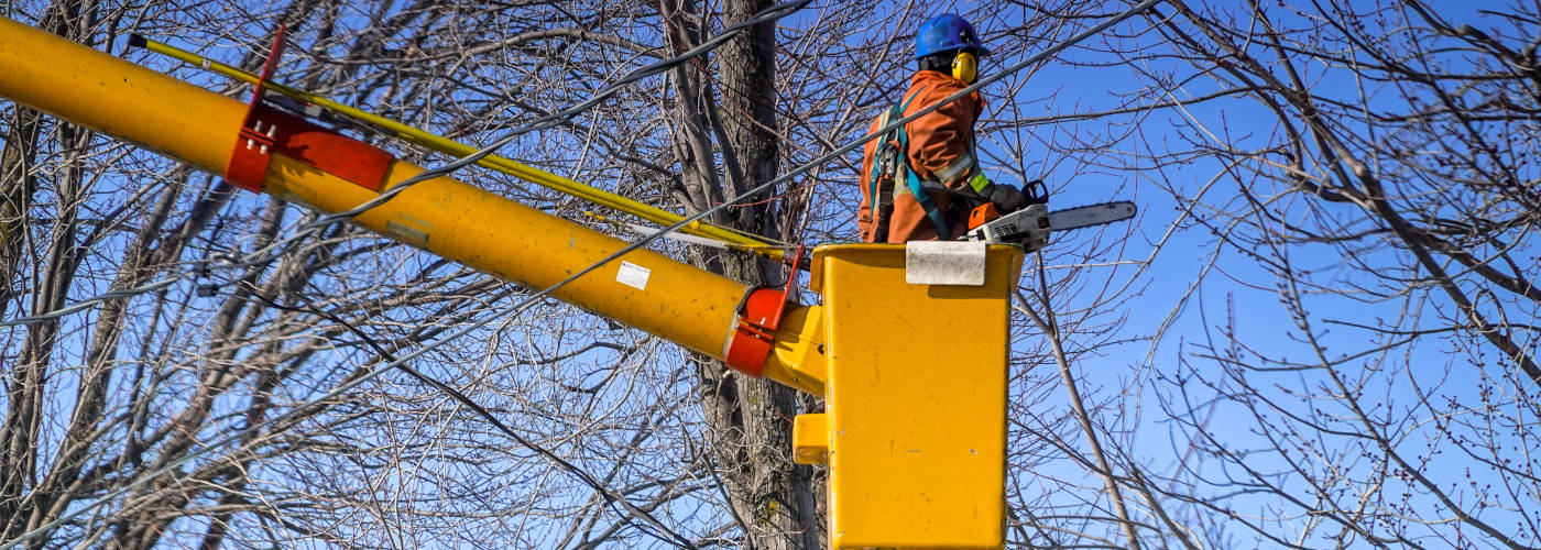 Featured Image for Graham Tree Service Inc.